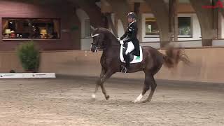 Ingrid Klimke  EQUITANAS Firlefanz  Horse amp Classic [upl. by Piero]