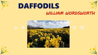 Explanation of the poem Daffodils by William Wordsworth [upl. by Nylidnarb275]