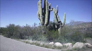 Boondocking by Roosevelt lake Az [upl. by Letreece137]