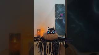 Witch’s cat halloween procreate animation [upl. by Sax]