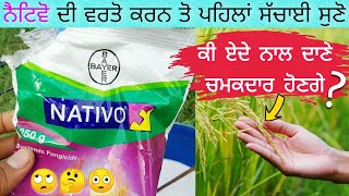 Nativo Fungicide In Paddy Nativo Bayer  Agri Advice [upl. by Tertia]