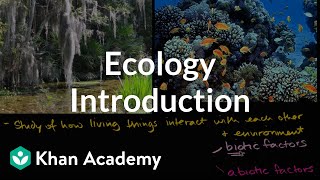 Ecology introduction  Ecology  Khan Academy [upl. by Cole957]