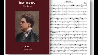 Intermezzo from Cavalleria Rusticana [upl. by Yarised]