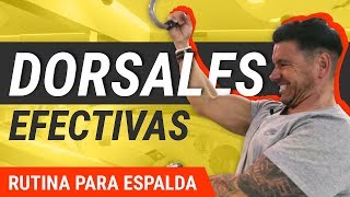 5 Mejores Ejercicios De Dorsales  Rutina De Entrenamiento [upl. by Nylauqcaj]