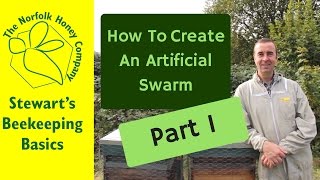 Queen Rearing Basics  How to create an Artificial Swarm Part 1 [upl. by Akemihs451]