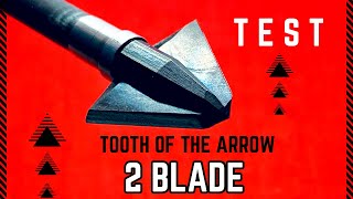 TOOTH OF THE ARROW 2 BLADE SINGLE BEVEL Broadhead Test [upl. by Ydnam]