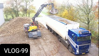 FARMVLOG 99 wortelen rooien suikerbieten afleveren container laden [upl. by Hildebrandt376]