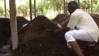 Organic Farming  A Success Story in Tamil Nadu India [upl. by Genaro613]