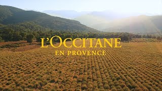 L’OCCITANE en Provence Sustainable Business Is Smart Business [upl. by Dlanar721]