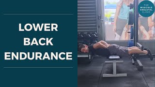 Lower back endurance and the biering sorensen test  The MSK Physio [upl. by Izawa]