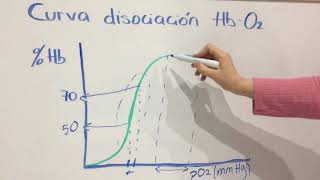 Curva hemoglobina y efecto Bohr [upl. by Yehsa]