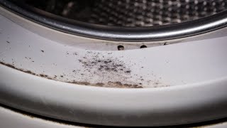 How to Clean your WASHING MACHINE Remove Front Load Stink NATURALLY  Andrea Jean [upl. by Ave]