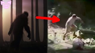 The Craziest Bigfoot Sightings Caught on Camera [upl. by Winnie]