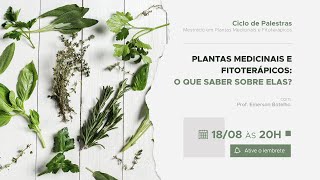 Plantas Medicinais e Fitoterápicos O que saber sobre elas [upl. by Eenhat]