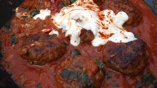 How To Cook Venison Venison Meatballs sour cream and paprikaTheScottReaProject [upl. by Che]