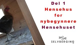 Hønsehus for nybegynnere [upl. by Jamil]