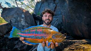 Ces gros poissons exotiques foncent sur mon appât vivant  Vlog PÊCHE 974 [upl. by Enaht]