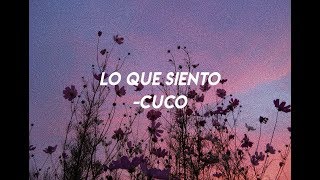 ♡ lo que siento cuco lyrics ♡ [upl. by Wildon433]