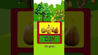 How To Say Pear In Hebrew fun hebrew viral fruit israel kids learning school shorts fyp [upl. by Pammy361]