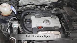 Steuerkette und Kettenspanner beim 14l TSI Motor von VW [upl. by Claudelle]