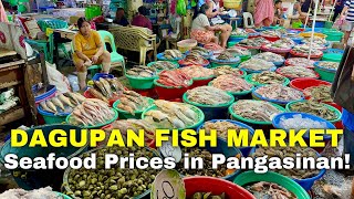 DAGUPAN FISH MARKET TOUR  Pangasinan’s Biggest Seafood Market Prices this August 2024  Philippines [upl. by Dorreg340]