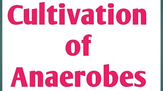 Cultivation of AnaerobesPharmaceutical MicrobiologyUnit 1Sem 3 anaerobic culture microbiology [upl. by Raina]