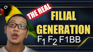 FILIAL GENERATION IN BREEDING [upl. by Leshia760]