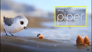 Piper Disney Pixar  Oscar Winning Short Movie In Hindi  Disney Coco [upl. by Zora]