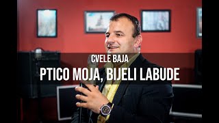 CVELE BAJA  Ptico moja bijeli labude Cover [upl. by Nnylrebma]