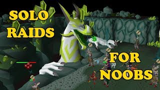 SOLO RAIDS GUIDE FOR NOOBS  First Time Solo Raider Guide [upl. by Kemp]