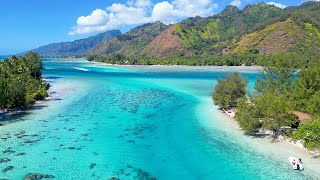 Beautiful Drone Footage of Moorea [upl. by Eninahpets]