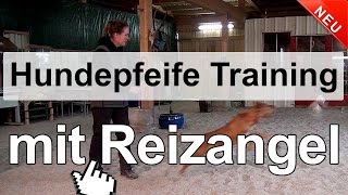 Hundetraining  Hundepfeife Training mit Reizangel [upl. by Ellienad]