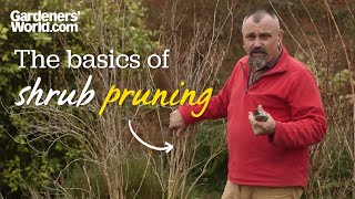 The basics of shrub pruning [upl. by Ettelloc]