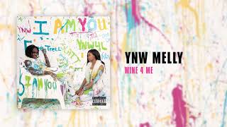 YNW Melly  Wine 4 Me Official Audio [upl. by Ayram]