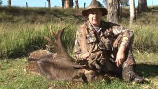 Fallow Deer Hunting Australia [upl. by Cavit]