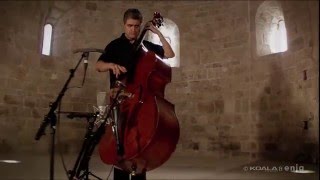 FLAMENCO ON UPRIGHT BASS [upl. by Ahsieket954]