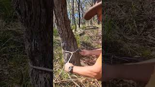 The easiest hitch to tie is the Timber Hitch and it is safe strong and secure Heres How to tie it [upl. by Nymrak810]