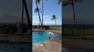 Best Places to Stay on Maui  Papakea Resort shorts [upl. by Nylakcaj]