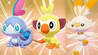 WE GOT ALL 3 SHINY STARTERS Shiny Scorbunny Sobble amp Grookey [upl. by Dene]