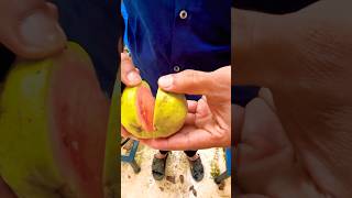 തായ്‌പ്പിങ്ക് പേരയ്ക്ക ചതിച്ചാശാനേ 😍😍😍😍😍fruitcutting fruit [upl. by Ained641]