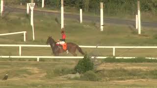 22022024 – Hipodromo Colonia – Carr 8 – SEMANA DE CARNAVAL [upl. by Shewchuk769]