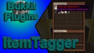 ItemTagger  Minecraft Bukkit Plugin Tutorial  Items nach Wunsch farblich umbenennen [upl. by Naldo]