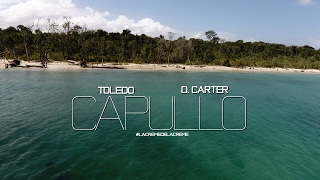 Toledo Ft D Carter  Capullo Video Oficial 2017 LaCremeDeLaCreme [upl. by Becker]