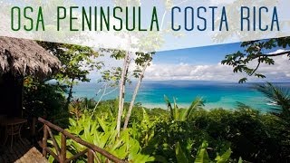 Osa Peninsula  Costa Rica by Frog TV [upl. by Romeo]