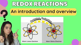 Redox reactions grade 11 Chemistry Introduction and Overview [upl. by Kentigera]