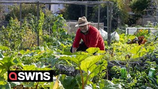 Most sought after allotments in the UK  SWNS [upl. by Prior273]