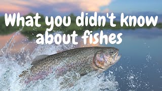 15 Interesting Facts About Fishes [upl. by Teri]