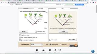 Cladogram Gizmo Tutorial [upl. by Leelah]