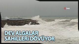 Akçakoca’da Dalga Boyu 5 Metreye Ulaştı [upl. by Buddie]