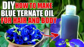 BLUE TERNATE OIL PAANO MAG EXTRACT AT GUMAWA NG HERBAL OIL USING BLUE TERNATE [upl. by Iturk]